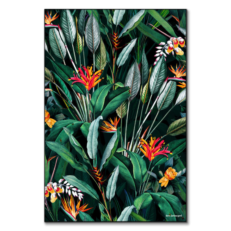 Midnight Garden V Dark Wall Art by Burcu Korkmazyurek