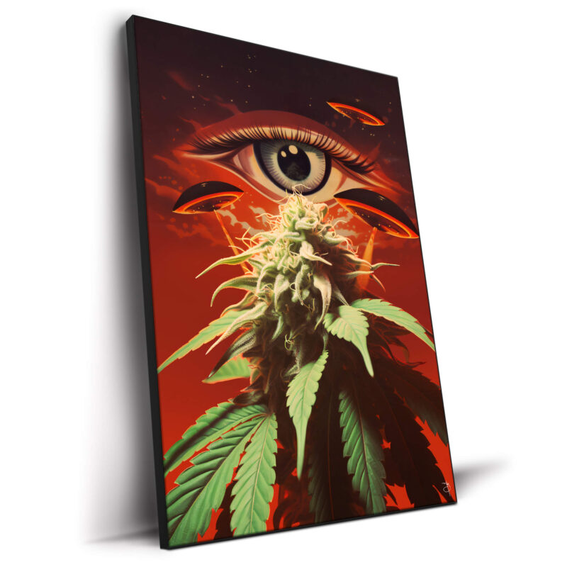 Inspection Red Wall Decor by BambashkART