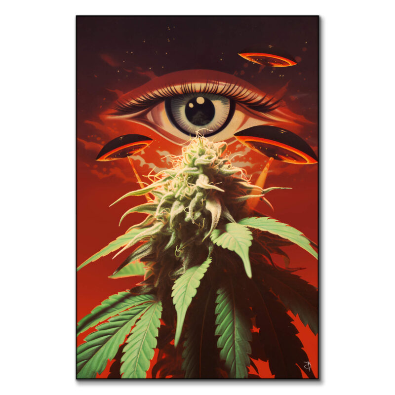 Inspection Red Wall Art by BambashkART